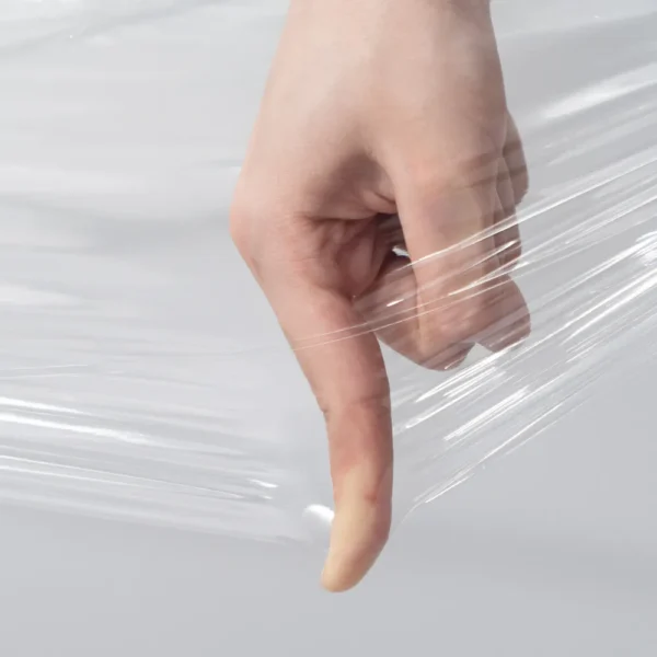 Untitled Catalog 02311