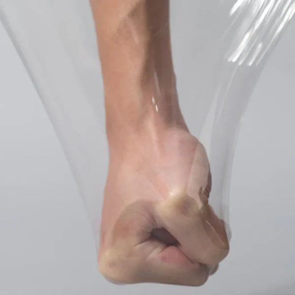 Untitled Catalog 03095